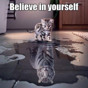 Believe In Yourself Believe In Yourself